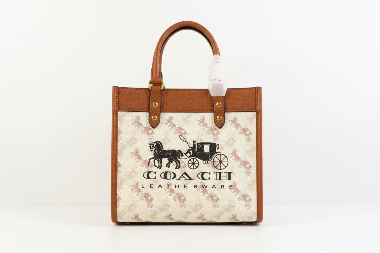 Coach Horse and Carriage 22