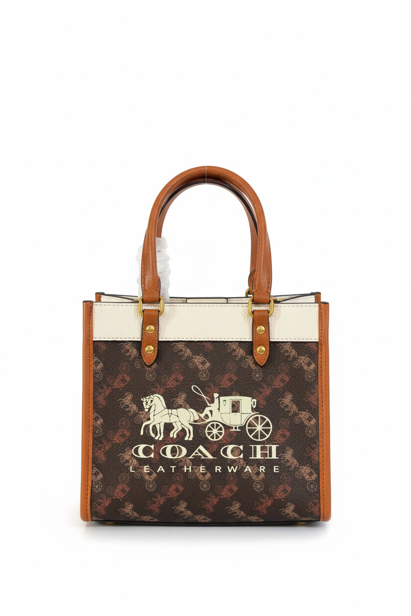 Coach Horse and Carriage 22