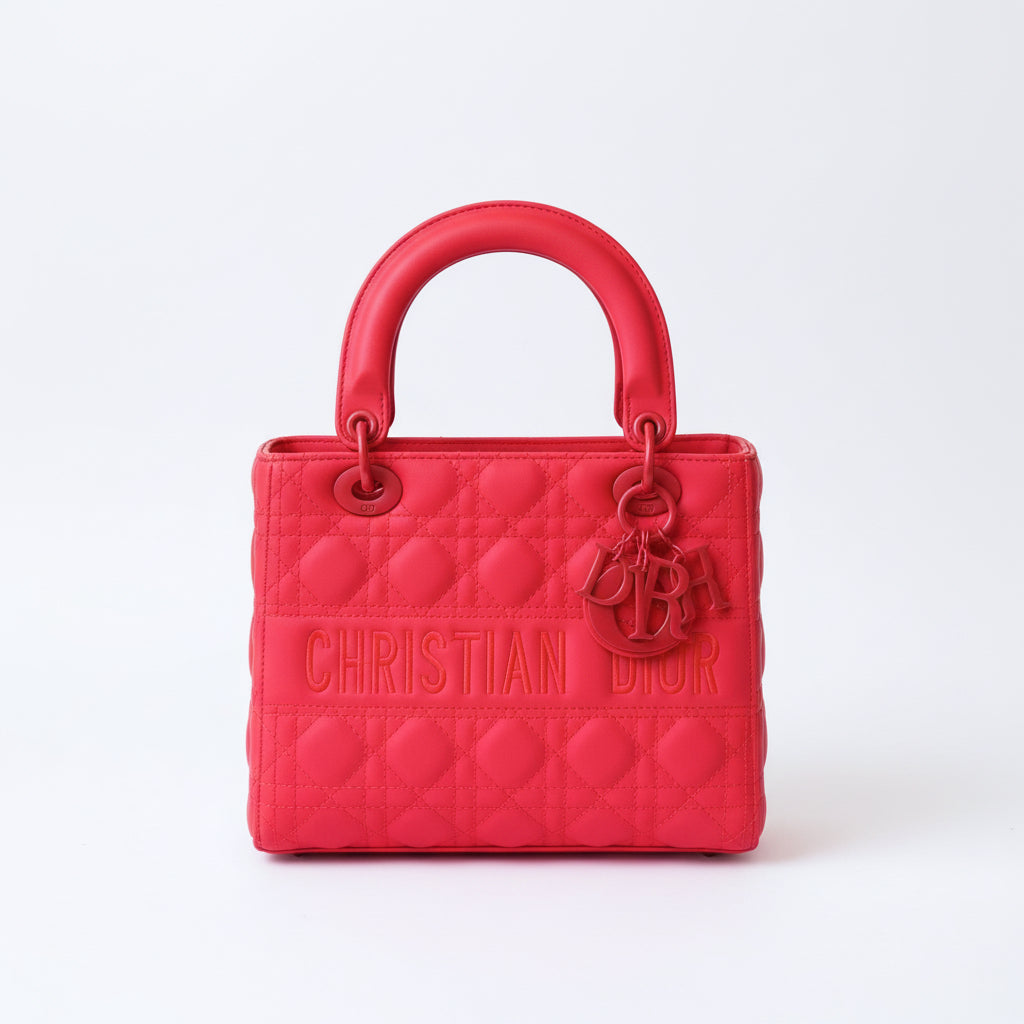Lady Dior 25 cm